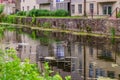 Delaware Canal Towpath and goose, Historic New Hope, PA Royalty Free Stock Photo