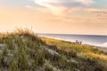 East coast dune beach grass wood lifeguard stand sunset