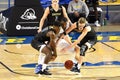 2021 NCAA Basketball - University of Delaware vs  Hofstra Royalty Free Stock Photo