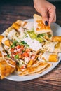 A delcious quesadillas platter Royalty Free Stock Photo