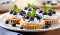 Delectable blueberry tartlet with plump, juicy blueberries arranged on a pristine white plate