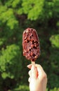 Delectable Chocolate Dipped Ice Cream Bar in Hand against Blurry Green Foliage