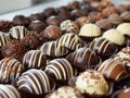 A delectable collection of hand dipped chocolates ready to be savored Royalty Free Stock Photo
