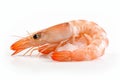 Delectable Fresh shrimp. Generate Ai