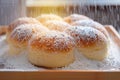 Delectable Hokkaido fresh milk cream bun adorned with icing sugar