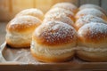 Delectable Hokkaido fresh milk cream bun adorned with icing sugar