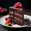 A delectable slice of chocolate cake, decadently moist and layered with velvety chocolate ganache Royalty Free Stock Photo