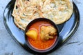 Spicy Indian Chicken Curry with Roti Flatbread Royalty Free Stock Photo