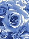 Delft Blue wedding bouquet