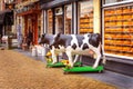 Delft, Netherlands Dutch cheese shop and cow figurines Royalty Free Stock Photo