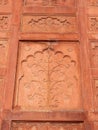 DELHI, INDIA - MARCH 15, 2019: a decorative floral decoration on a wall at red fort