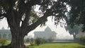 DELHI, INDIA - MARCH 15, 2019: large ancient tree in the grounds of red fort in old delhi