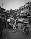 Delhi, India - Street photography in Paharganj, bustling backpacker enclave full of budget guest houses.