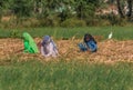 At the border with Pakistan, the welcoming and colorful people of Rajasthan