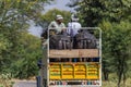 At the border with Pakistan, the welcoming and colorful people of Rajasthan