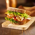 Deli meat sandwich with turkey Royalty Free Stock Photo