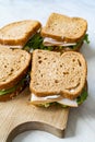 Deli meat sandwich with turkey close up shot with selective focus and toast bread Royalty Free Stock Photo