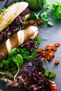 Deli sandwich with vegetables Royalty Free Stock Photo