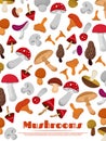 Delicacies fresh edible mushrooms poster background