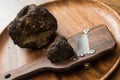 Delicacy mushroom black truffle Royalty Free Stock Photo