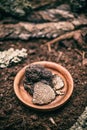 Delicacy mushroom black truffle Royalty Free Stock Photo