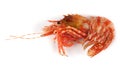 Shrimps isolated on white northern Bering shrimp Royalty Free Stock Photo