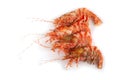 Shrimps isolated on white northern Bering shrimp Royalty Free Stock Photo