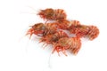 Shrimps isolated on white northern Bering shrimp Royalty Free Stock Photo