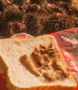 Delicacy of the sea urchin on a piece of bread Royalty Free Stock Photo