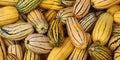 Delicata squash is a variety of winter squash with cream-coloured cylindrical fruits striped Royalty Free Stock Photo