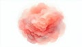 Abstract Watercolor Cloud: A Gentle Gradient of Coral and White Creates a Soft Artistic Bloom on White Background Royalty Free Stock Photo
