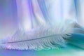 Delicate Angelic Lilac Feather Background