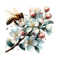 Delicate apple tree blossom in spring, a bee collects pollen, close-up. Generative AI.