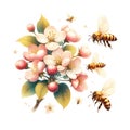 Delicate apple tree blossom in spring, a bee collects pollen, close-up. Generative AI.