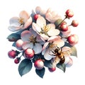 Delicate apple tree blossom in spring, a bee collects pollen, close-up. Generative AI.