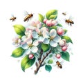 Delicate apple tree blossom in spring, a bee collects pollen, close-up. Generative AI.
