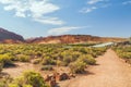 Delicate Arch Trail in Arches National Park in Moab