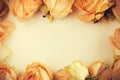 Delicate background with faded roses in vintage style Royalty Free Stock Photo