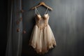 delicate ballet costume on hanger