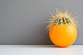 A delicate balloon resting on a cactus with sharp prickly spines represents the concept of fragility and protection Royalty Free Stock Photo