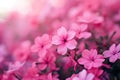 Delicate Beautiful pink flowers. Generate ai
