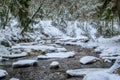 Delicate beautiful winter landscape. River, trees, frozen grass in the snow Royalty Free Stock Photo