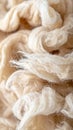 Delicate Beige and White Lambswool Texture Macro Background in Warm Light Royalty Free Stock Photo