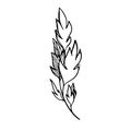 Delicate sketch of leaves. Vector illustration in hand drawn style