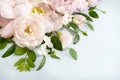 Delicate blooming festive roses and pink summer flowers, blossoming rose flower soft pastel background Royalty Free Stock Photo