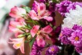 Delicate blossoming pink flowers, blooming  background, flower bouquet pastel image, soft petal.  Magenta peruvian lily alstroemer Royalty Free Stock Photo