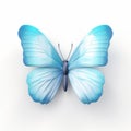 Delicate Blue Butterfly With Transparent Wings On White Background
