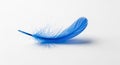 A delicate blue feather, lying gently on its side against a white background. The feathe Royalty Free Stock Photo