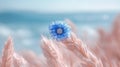 Delicate blue flower on beach grass, ocean backdrop Royalty Free Stock Photo