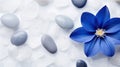 delicate blue flower petals